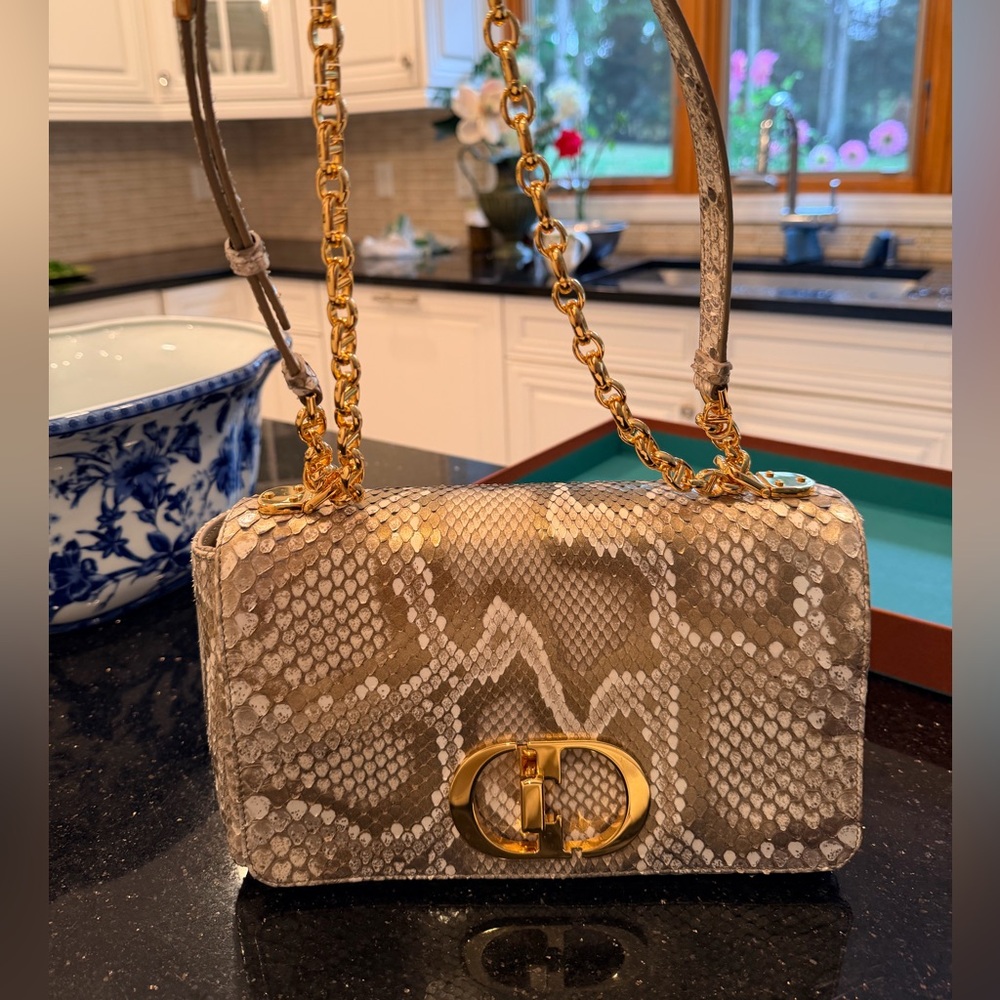 Dior Beige And Gold Python Pattern Bag - image 1